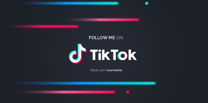 Recuperați contul TikTok 1